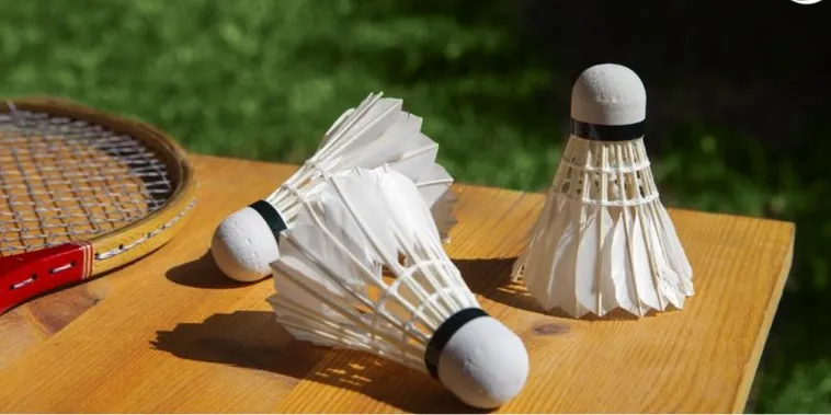 Bí Quyết Cược Cầu Lông VNBET77 Bách Phát Bách Trúng Từ Cao Thủ