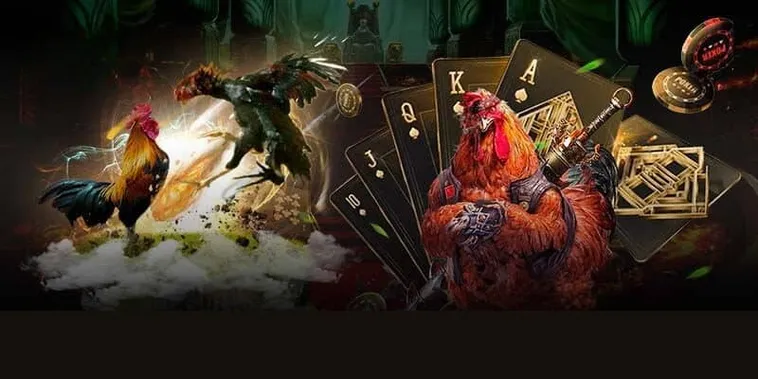 Bật Mí Cách Chơi Đá Gà GA28 Tại VNBET77 Luôn Thắng Từ A Tới Z